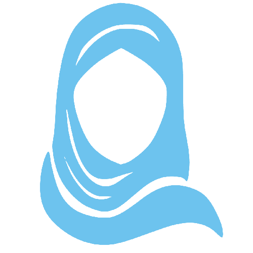 Microsoft Consultant